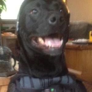 Meet your Posher, Jared